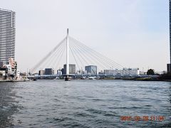 3つ目の中央大橋、1993年竣工と比較的新しい斜張橋です。

トラベラークチコミ
http://4travel.jp/domestic/area/kanto/tokyo/tokyo/nihonbashi/hotplace/11322551/