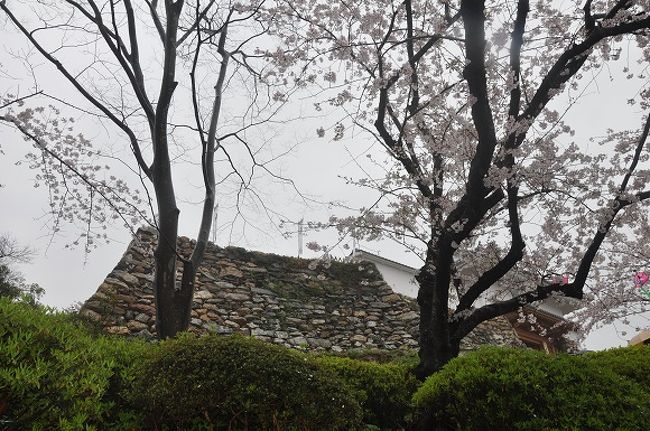 浜松城の石垣は自然石を上下に組み合わせて積み上げる<br />野図積みです。