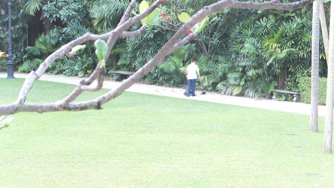 スタッフが中庭を清掃していました。<br /><br />なにやら鳥が鳴いています。