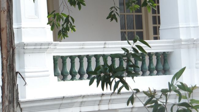 グリーンと白の対比が美しい。