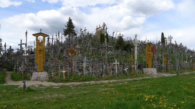 この辺りはまだ隙間も見えるので、新しく広がってきたところ。