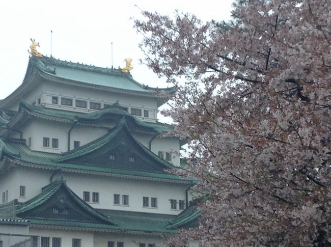 お城には桜が良く似合います。