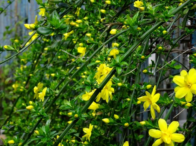 ここには昔むかし、私がジョシダイセーだった前世紀(う〜う〜う〜)に、同期生達とお弁当を持ち寄って遠足に来たことがありました。