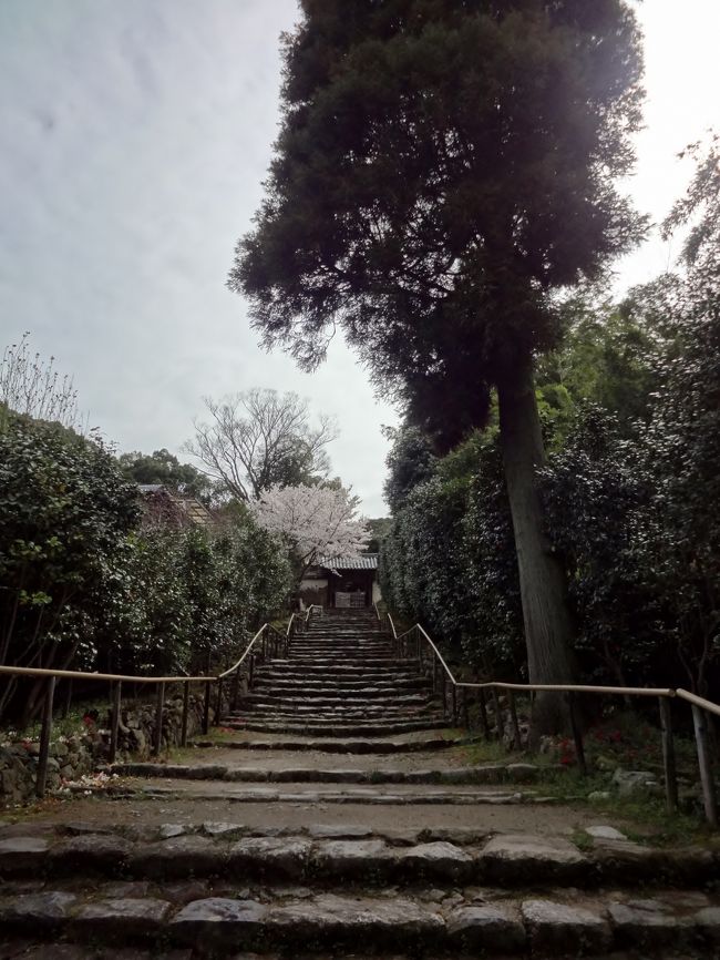 当時は奈良駅から１時間のハイキング、しかし加齢により(爆) 足腰が衰えた今は、当然バス利用です。<br />いちばん最寄りの「白毫寺」バス停へは１時間に１本なので、時刻表は要チェック。<br />