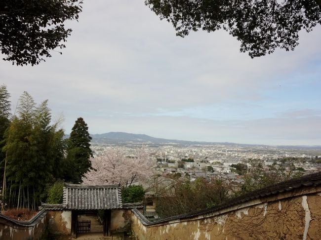 バス停から徒歩10分、のどかな田畑を通り、小高い丘の上にあるお寺に到着です。<br />ふええー 山門の階段が結構きつい〜。<br />