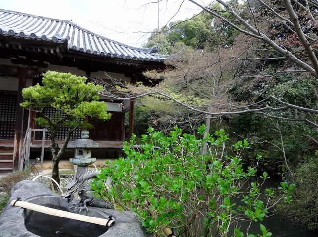 庭木や落花の手入れ・お掃除は、檀家の方々が行っておられるらしく、境内は隅々まで手入れがされていました。