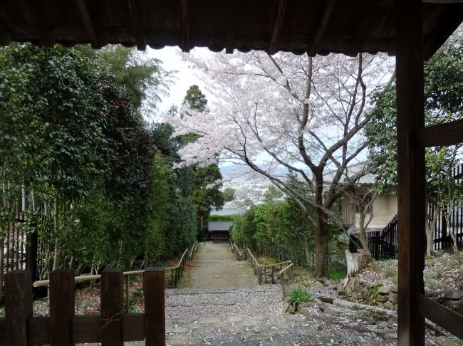 白毫寺バス停発の時間にはまだ間があるので、となりの高畑住宅バス停まで歩いてそこから乗車して今度は奈良博物館前で下車、氷室神社に向かいます。