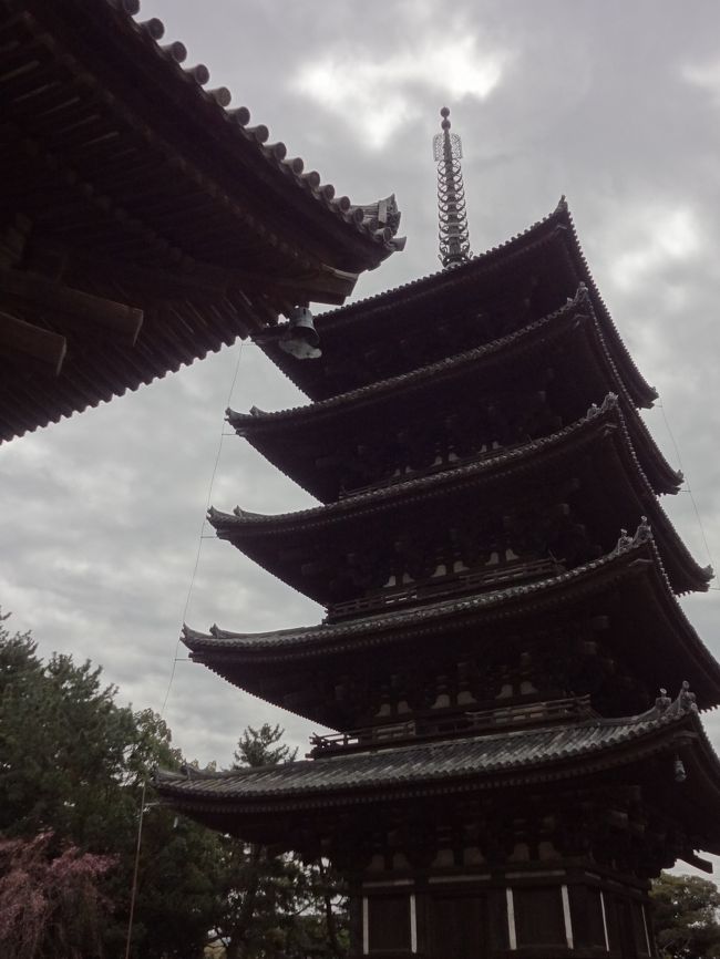 このお寺の国宝館には、私の心のダーリンである阿修羅像があるので、奈良訪問の際は必ずダーリン阿修羅(←バチがあたるぞー)に お会いしておりまする。