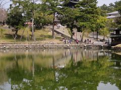 猿沢池と興福寺五重塔