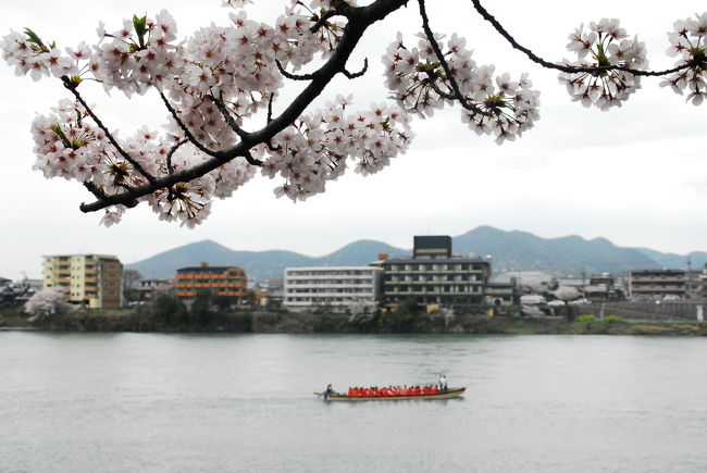 気持ち良さげです。