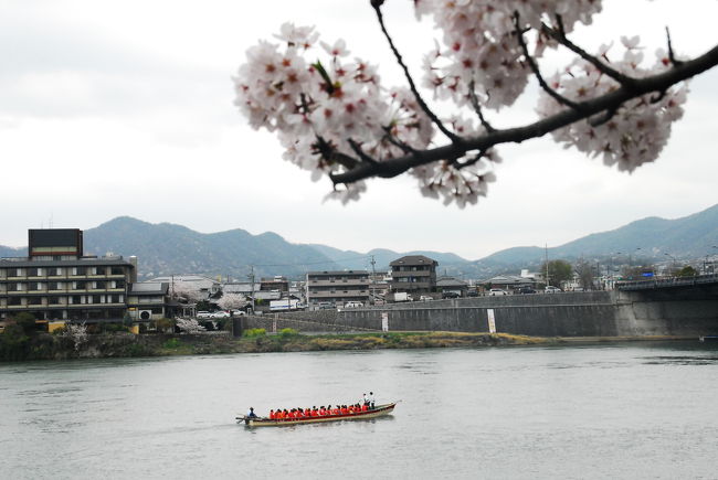 どこから乗船出来るのでしょうか。