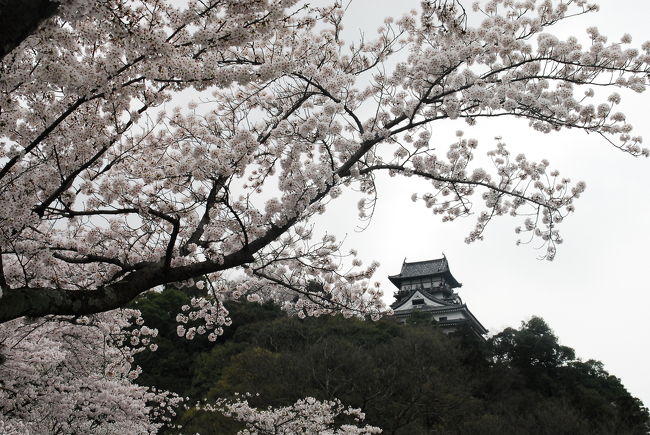 やはり日本人、何を撮るにしても桜を入れたくなります。