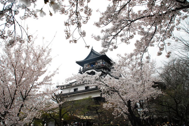 天守閣はまた改めて来ましょう。