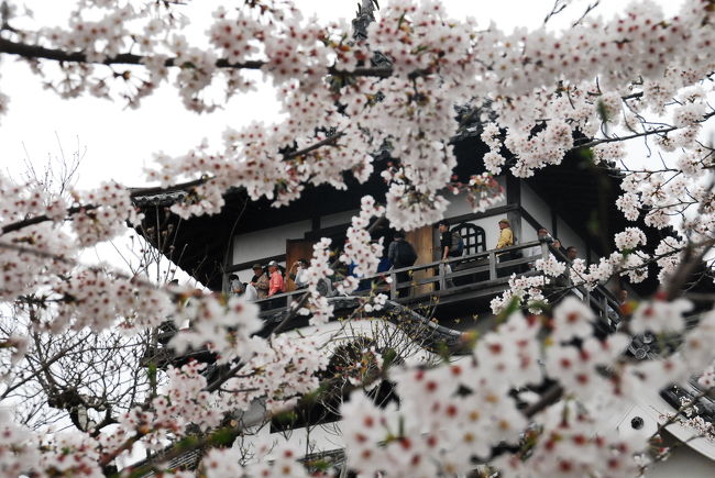 見えそうで見えない…位が丁度よいかもしれません。