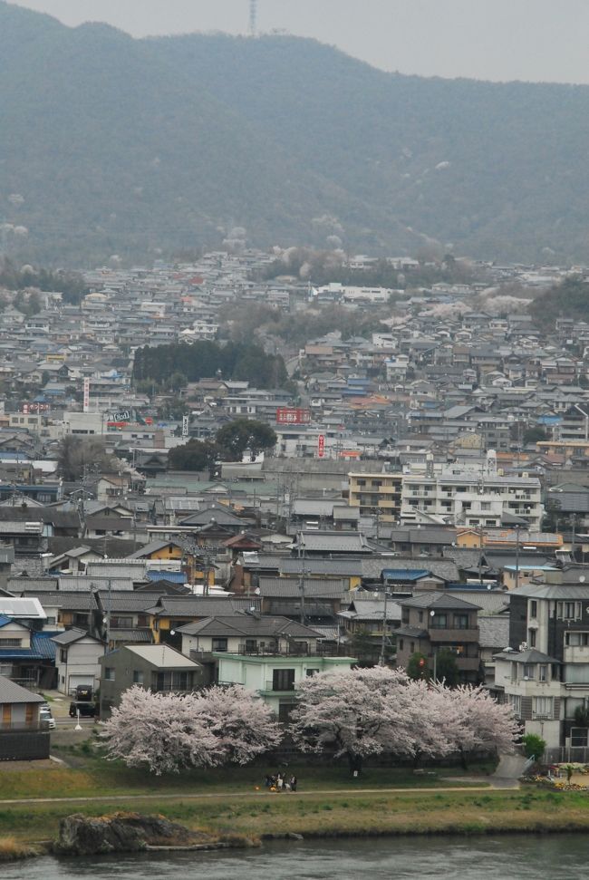 斜面に町がある感じが良いですね。<br />天守閣からの眺めはもっと良いのでしょう。