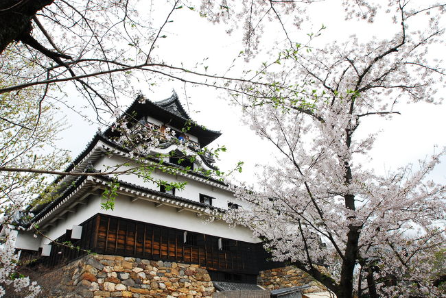 広角レンズを駆使してみましょう。