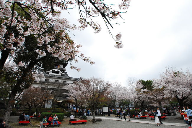 今にも降り出しそうな空の撮影は苦手です。