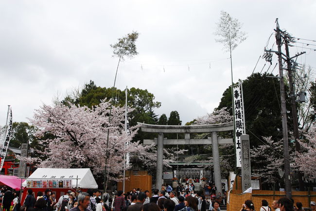 犬山城の入り口に到着です。<br />やけに人が多いと思いきや、犬山祭が開催中ではないですか。
