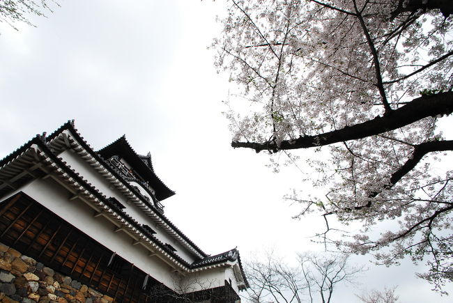 空が白すぎますね。