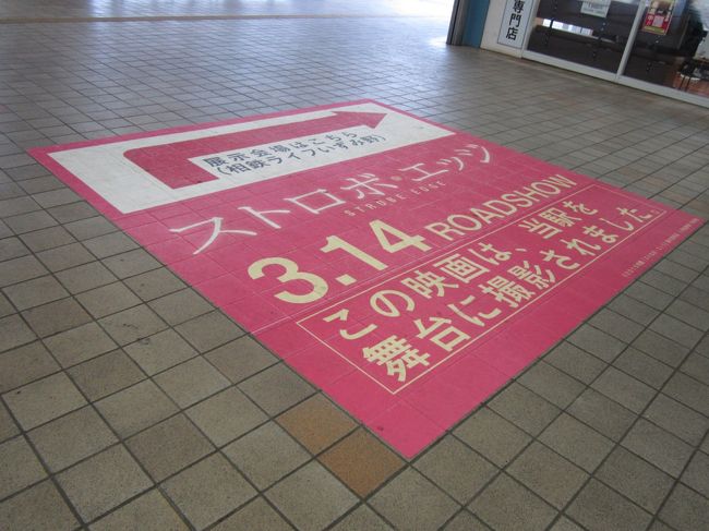 相鉄 ストロボエッジのロケ地 いずみ野駅 桜の名所 弥生台駅 戸塚 いずみ野 港南台 神奈川県 の旅行記 ブログ By ちふさん フォートラベル