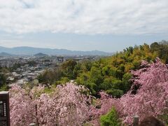 遠く大和三山を眺める場所から(天の香具山が写ってないけど)。
新緑と桜色が広がって綺麗です。