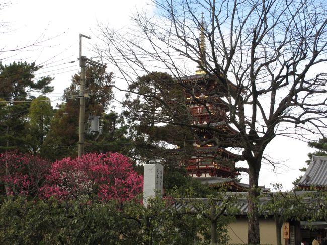 　南門は近いです。<br />西塔が見えます。