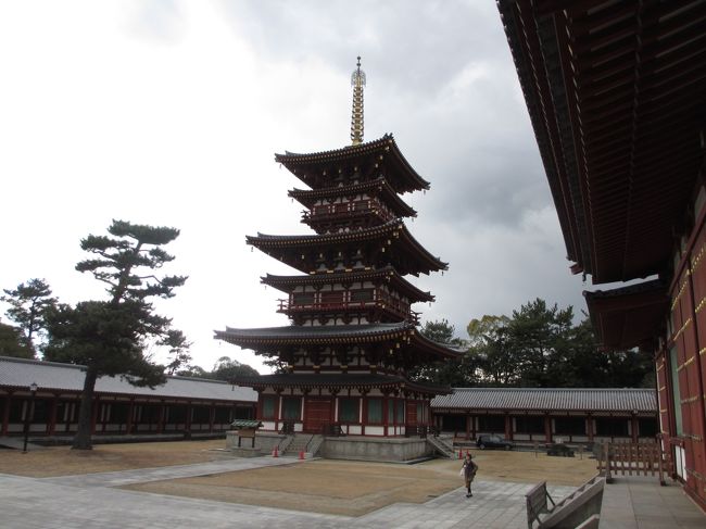 　金堂の入り口近くから西塔を眺める