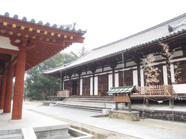 　東塔の回廊近くにある東院堂<br /><br />　養老年間に吉備内親王が元明天皇の冥福を祈り、発願建立されたもの。<br />奈良時代の位置は東側（現在の観音池）にあり、南を向いて立てられていましたが、天禄4年（９７３）の火災で焼失、弘安8年（１２８５）現在の地に建てかえられた。<br />　奈良時代は土間が通常ですが、板床を敷き東院禅堂と呼ばれたことを考えると、鎌倉時代には禅の影響があったと思われる。