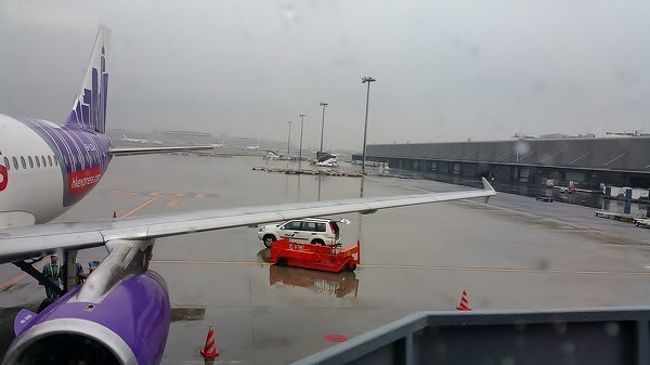 今回は香港エクスプレスを利用したのだが、航空券のWeb購入時からトラブル発生だった。<br />購入したくても何回やっても決済画面に行かなかったり、やっと決済画面が出てカード番号まで入力し、決済ボタンをクリックしたら通常であれば完了画面が出るのに、突然トップ画面に戻ってしまう。結果、ダブって予約してしまう事になり、カスタマーに予約取り消しの電話をする事になった。<br /><br />安いとは言えHPの使い勝手が悪すぎる。カスタマーも日本人ではなく、日本語の上手な中国人のお姉ちゃんだった。<br />座席は追加料金を払い足元の広いシートを指定した。行きはひたすら寝ていた。