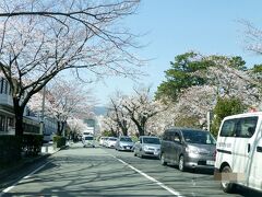 小田原城南側の駐車場近くは大渋滞

駐車場の?はあちこちにありますが
お城から近くはほとんどが満車。

すこし離れたところを探します。
