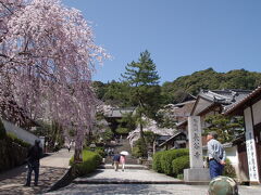 長谷寺の正面です