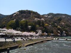 嵐山に桜がぽつぽつありきれいいです。