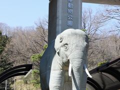 最初の目的地の多摩動物園に１０時半到着。