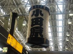 昼食は小田原の回転ずしでたらふく食べて、東京へ帰る娘を小田原駅へ送り、私たちは帰路に就いた。
