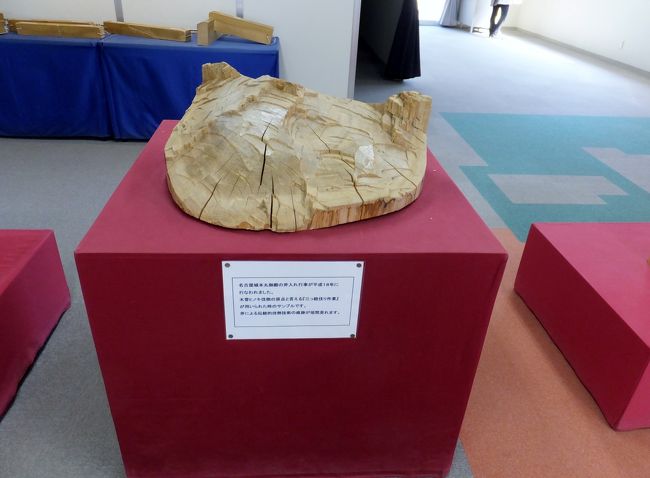 名古屋城本丸御殿の斧入れ行事が平成１８年に行われました。<br /><br />木曽ヒノキ伐倒の原点といえる「三つ紐伐り作業」が用いられた<br /><br />時のサンプルです。<br /><br />斧による伝統的伐倒技術の痕跡が垣間見れます。