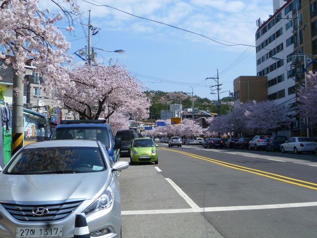 それにしても良いお天気です。 v^.^v<br /><br />どこがメイン会場か わからないまま人の流れについていきます。<br /><br />