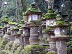 コケが歴史語っています。