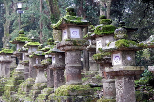 コケが歴史語っています。