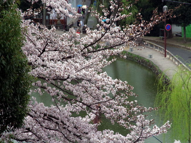 再度、猿沢池へ