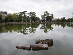 猿沢池。
こんな小さかったんだ。