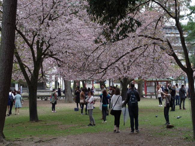 ここに居るのはユ−ばかり