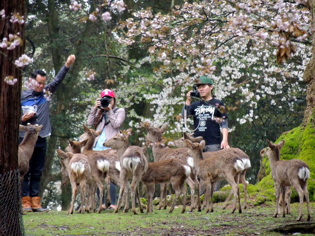 ここにもユ−が