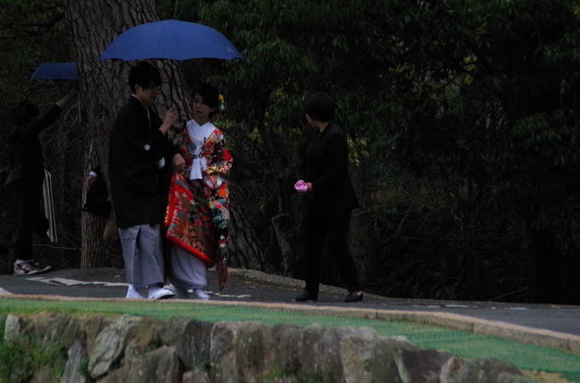 雨の中どうも写真撮るみたい