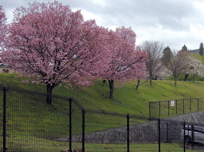 近所で。<br />誰もいない。