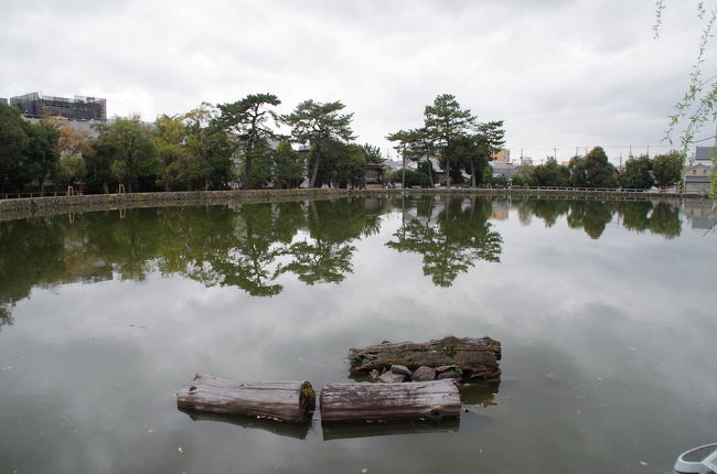 猿沢池。<br />こんな小さかったんだ。