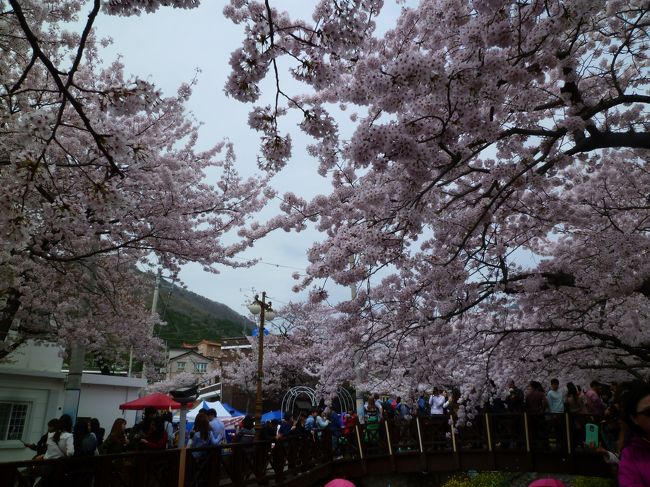 ♪〜<br />さくら舞い散る中に忘れた記憶と君の声が戻ってくる<br />吹き止まない春の風あの頃のままで<br />君が風に舞う髪かき分けた時の淡い香り戻ってくる<br />二人約束したあの頃のままで<br />ヒュルリーラ ヒュルリーラ<br />−− ケツメイシ・さくら −−