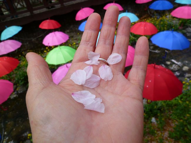 ほら、手を伸ばせばこのとおり。^^