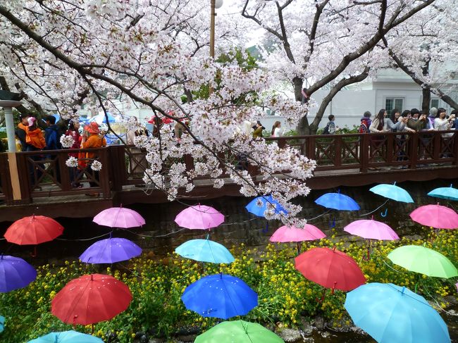 ♪〜<br />さくらひらひら舞い降りて落ちて 揺れる想いのたけを<br />抱きしめた 君と春に願いしあの夢は今も見えているよ<br />さくら舞い散る〜<br />−− いきものががり・ＳＡＫＵＲＡ−−