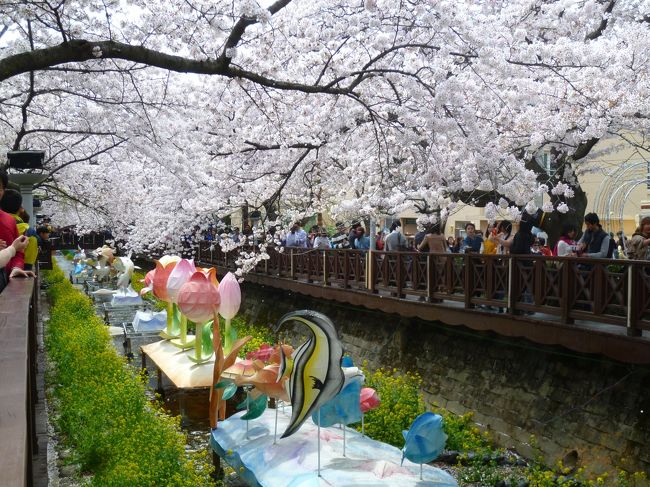 ♪〜<br />桜の花びら散るたびに届かぬ思いがまた一つ<br />涙と笑顔に消されてく そしてまた大人になった<br />−− コブクロ・桜 −−