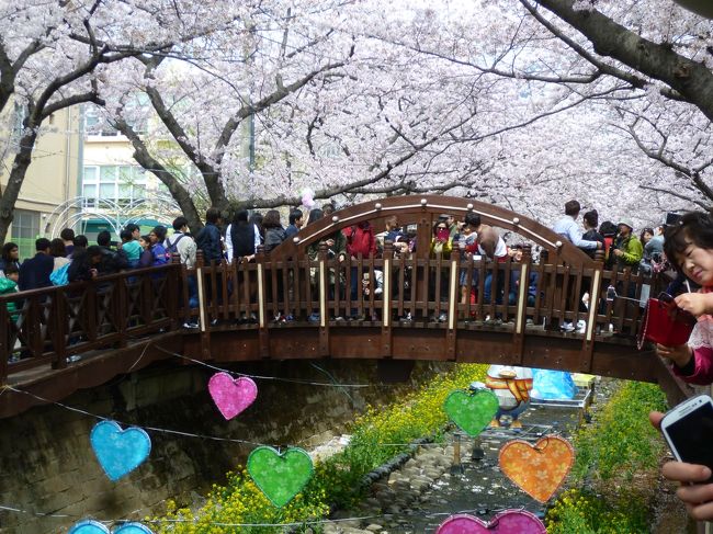 橋の上はこんなにたくさんの人です、渡るの大変です。